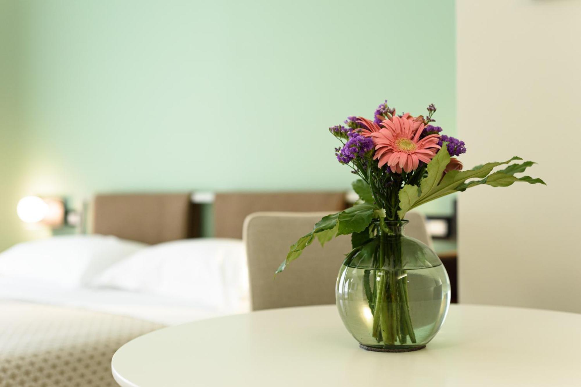 Alma Guest house